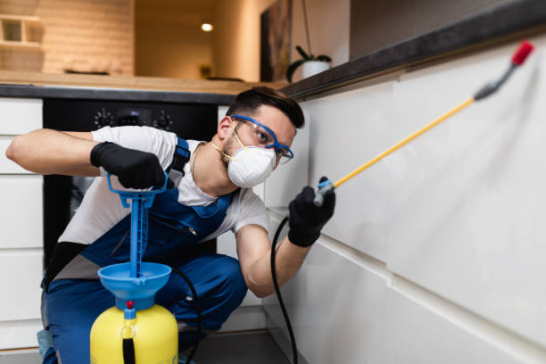 Best Affordable Pest Control Services  in Shoemakersville, PA