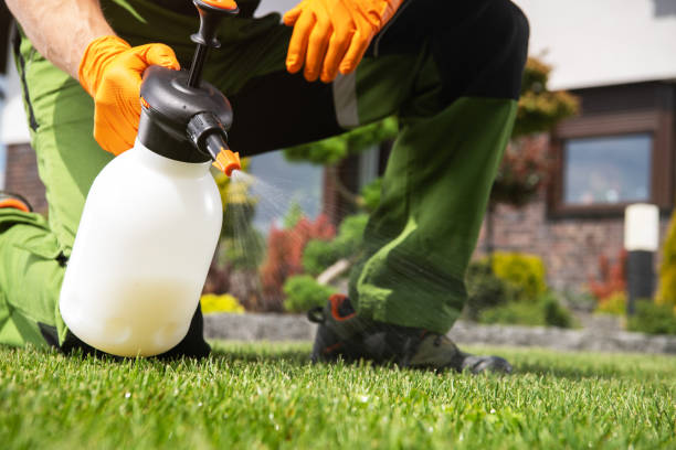 Best Mosquito Control Services  in Shoemakersville, PA