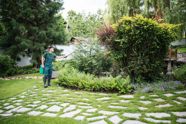 Best Wasp Removal Services  in Shoemakersville, PA