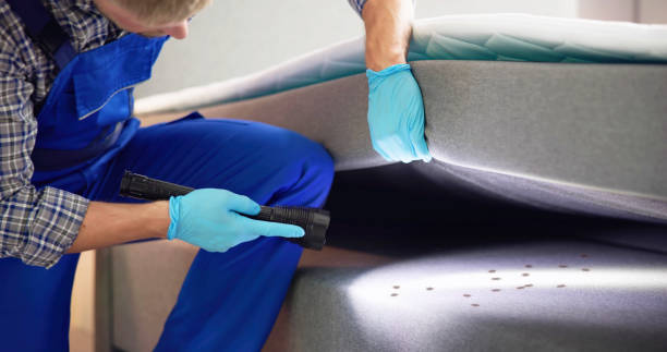 Wasp Removal Services in Shoemakersville, PA