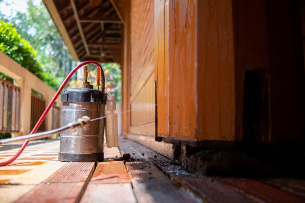 Best Ant Control Services  in Shoemakersville, PA