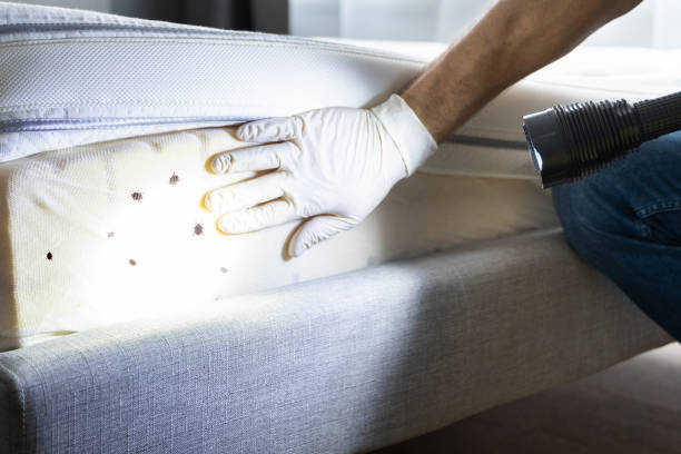 Professional Pest Control in Shoemakersville, PA
