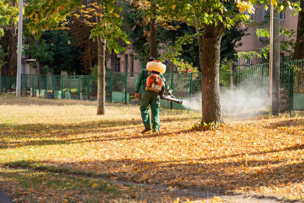Best Best Pest Control Companies  in Shoemakersville, PA