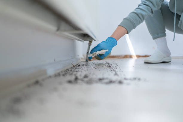 Best Pest Control for Homes  in Shoemakersville, PA