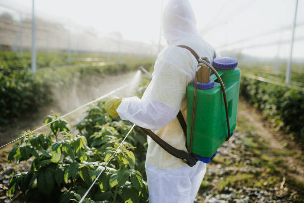 Best Emergency Pest Control  in Shoemakersville, PA
